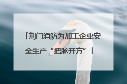 荆门消防为加工企业安全生产“把脉开方”