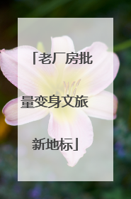 老厂房批量变身文旅新地标