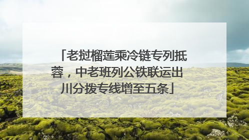 老挝榴莲乘冷链专列抵蓉，中老班列公铁联运出川分拨专线增至五条