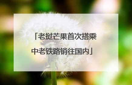 老挝芒果首次搭乘中老铁路销往国内