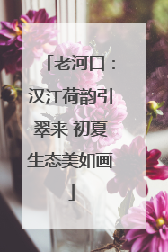 老河口：汉江荷韵引翠来 初夏生态美如画
