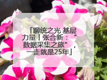 聊统之光 基层力量丨张合新：“数据采集之旅”，一走就是25年