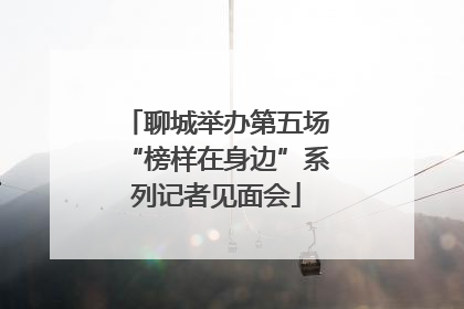 聊城举办第五场“榜样在身边”系列记者见面会