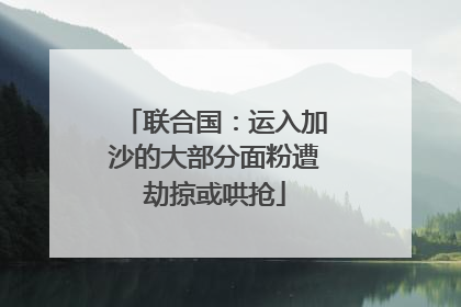 联合国：运入加沙的大部分面粉遭劫掠或哄抢