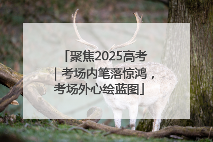 聚焦2025高考｜考场内笔落惊鸿，考场外心绘蓝图