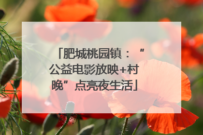 肥城桃园镇：“公益电影放映+村晚”点亮夜生活