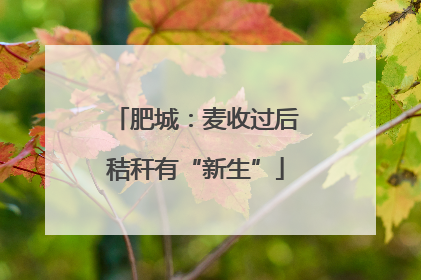 肥城：麦收过后秸秆有“新生”