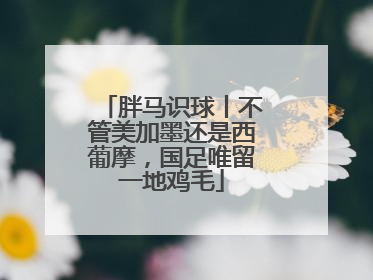 胖马识球丨不管美加墨还是西葡摩，国足唯留一地鸡毛