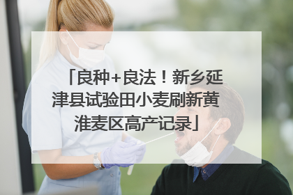 良种+良法！新乡延津县试验田小麦刷新黄淮麦区高产记录