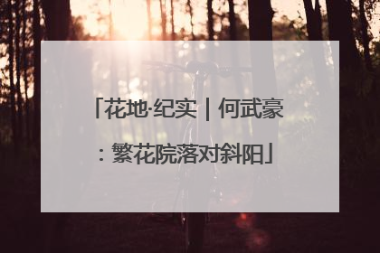 花地·纪实｜何武豪：繁花院落对斜阳