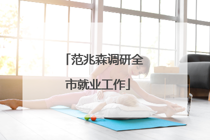 范兆森调研全市就业工作