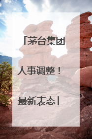 茅台集团人事调整！最新表态