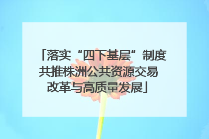 落实“四下基层”制度 共推株洲公共资源交易改革与高质量发展