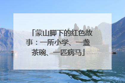 蒙山脚下的红色故事：一所小学、一盏茶碗、一匹病马
