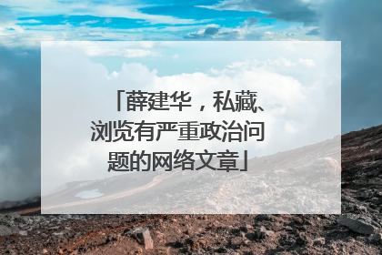 薛建华，私藏、浏览有严重政治问题的网络文章