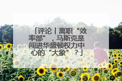 评论丨离职“效率部”，马斯克是闯进华盛顿权力中心的“大象”？