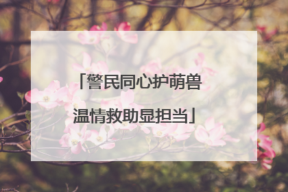 警民同心护萌兽 温情救助显担当