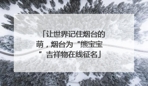 让世界记住烟台的萌，烟台为“熊宝宝”吉祥物在线征名