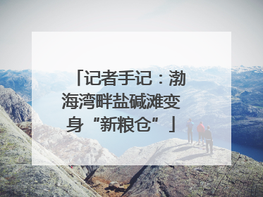 记者手记：渤海湾畔盐碱滩变身“新粮仓”