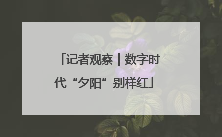 记者观察｜数字时代“夕阳”别样红