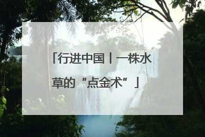 行进中国丨一株水草的“点金术”