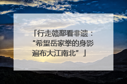 行走赣鄱看非遗：“希望岳家拳的身影遍布大江南北”