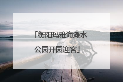衡阳玛雅海滩水公园开园迎客