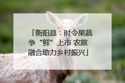 衡阳县：时令果蔬争“鲜”上市 农旅融合助力乡村振兴