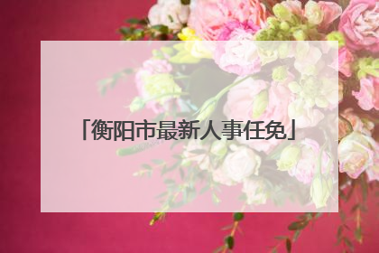 衡阳市最新人事任免