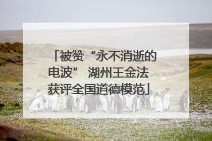 被赞“永不消逝的电波” 湖州王金法获评全国道德模范