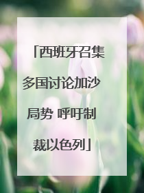 西班牙召集多国讨论加沙局势 呼吁制裁以色列