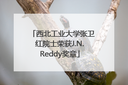西北工业大学张卫红院士荣获J.N.Reddy奖章
