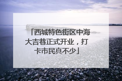 西城特色街区中海大吉巷正式开业，打卡市民真不少