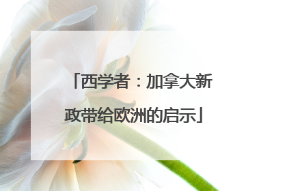 西学者：加拿大新政带给欧洲的启示