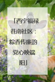 西宁福禄巷南社区：粽香传廉韵 党心映端阳
