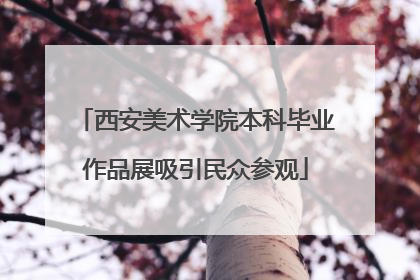 西安美术学院本科毕业作品展吸引民众参观