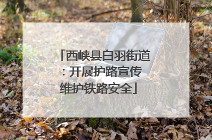 西峡县白羽街道：开展护路宣传 维护铁路安全