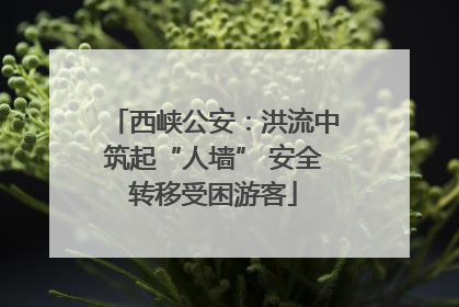 西峡公安：洪流中筑起“人墙” 安全转移受困游客
