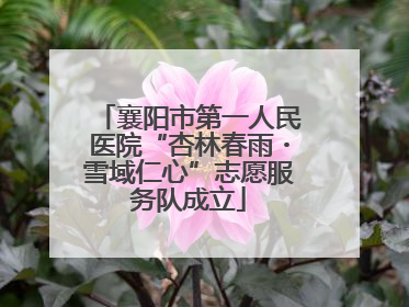 襄阳市第一人民医院“杏林春雨・雪域仁心”志愿服务队成立