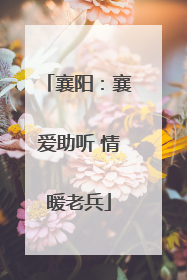 襄阳：襄爱助听 情暖老兵