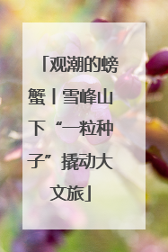 观潮的螃蟹丨雪峰山下“一粒种子”撬动大文旅