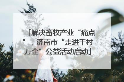 解决畜牧产业“痛点”，济南市“走进千村万企”公益活动启动
