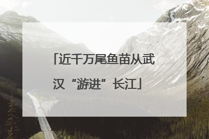 近千万尾鱼苗从武汉“游进”长江