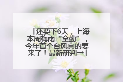 还要下6天，上海本周梅雨“全勤”，今年首个台风真的要来了！最新研判→