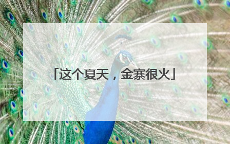 这个夏天，金寨很火
