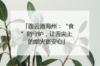连云港海州：“食”刻守护，让舌尖上的烟火更安心