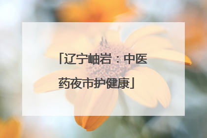 辽宁岫岩：中医药夜市护健康