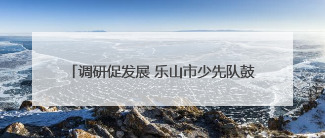调研促发展 乐山市少先队鼓号队走进凤凰学校进行调研
