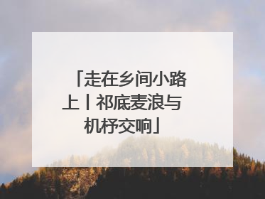 走在乡间小路上丨祁底麦浪与机杼交响