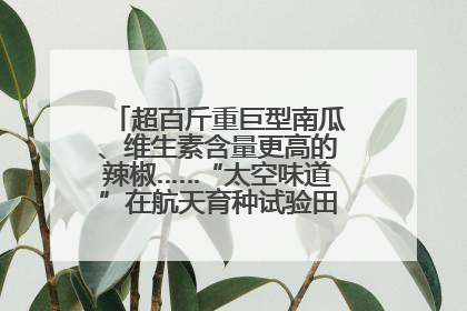 超百斤重巨型南瓜、维生素含量更高的辣椒……“太空味道”在航天育种试验田里拔节生长